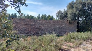 Foto de Finca de olivos con casa de campo en Cretas. con buenos accesos