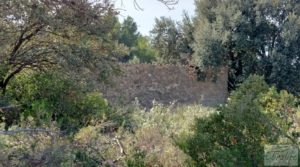 Finca de olivos con casa de campo en Cretas. en venta con buenos accesos por 85.000€