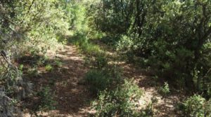 Se vende Finca de más de 4 hectáreas en Fórnoles. con buenos accesisos por 45.000€