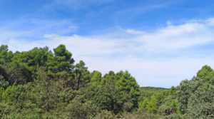 Finca de más de 4 hectáreas en Fórnoles. a buen precio con buenos accesisos