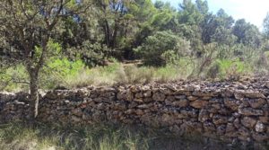 Foto de Finca de más de 4 hectáreas en Fórnoles. con buenos accesisos