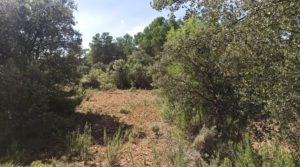 Foto de Finca de más de 4 hectáreas en Fórnoles. en venta con privacidad tranquilidad e intimidad por 45.000€