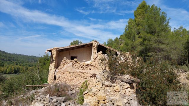 Finca de regadío en Valderrobres con bosque propio.