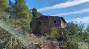 Finca de regadío en Valderrobres con bosque propio. en oferta con buenos accesos por 75.000€