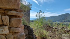 Finca de regadío en Valderrobres con bosque propio. a buen precio con agua para riego por 75.000€