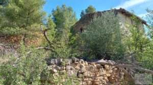 Finca de regadío en Valderrobres con bosque propio. a buen precio con buenos accesos