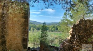 Finca de regadío en Valderrobres con bosque propio. en venta con agua para riego