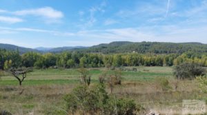 Finca de regadío en Valderrobres con bosque propio. a buen precio con buenos accesos por 75.000€