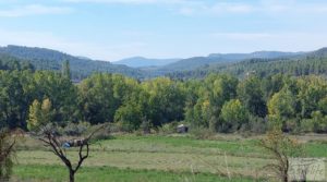 Finca de regadío en Valderrobres con bosque propio. para vender con buenos accesos