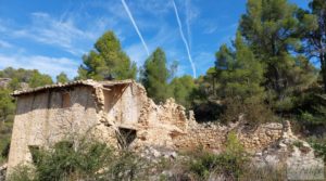 Finca de regadío en Valderrobres con bosque propio. a buen precio con agua para riego por 75.000€