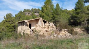 Vendemos Finca de regadío en Valderrobres con bosque propio. con buenos accesos