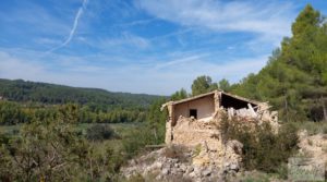 Detalle de Finca de regadío en Valderrobres con bosque propio. con buenos accesos