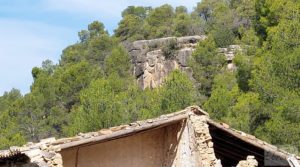 Detalle de Finca de regadío en Valderrobres con bosque propio. con buenos accesos