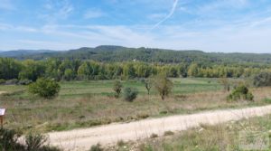 Finca de regadío en Valderrobres con bosque propio. para vender con buenos accesos