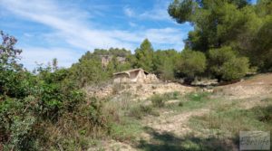 Finca de regadío en Valderrobres con bosque propio. a buen precio con agua para riego