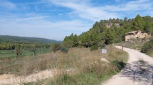 Finca de regadío en Valderrobres con bosque propio. para vender con agua para riego