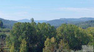 Finca de regadío en Valderrobres con bosque propio. a buen precio con agua para riego por 75.000€