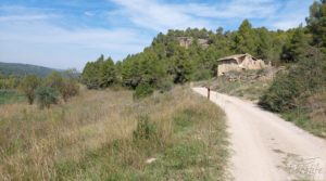 Detalle de Finca de regadío en Valderrobres con bosque propio. con buenos accesos