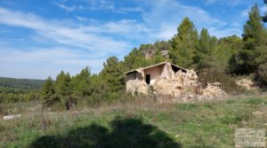 Finca de regadío en Valderrobres con bosque propio. en oferta con buenos accesos