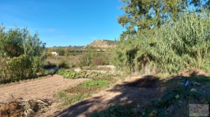 Se vende Chalet en Maella con arboles frutales y jardines. con huerto y jardín por 59.000€