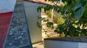 Vendemos Chalet en Maella con arboles frutales y jardines. con electricidad solar por 59.000€