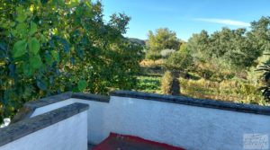 Chalet en Maella con arboles frutales y jardines. a buen precio con huerto y jardín por 59.000€