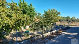 Foto de Chalet en Maella con arboles frutales y jardines. con huerto y jardín por 59.000€