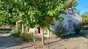 Detalle de Chalet en Maella con arboles frutales y jardines. con electricidad solar por 59.000€