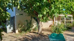 Vendemos Chalet en Maella con arboles frutales y jardines. con barbacoa por 59.000€