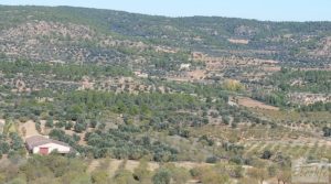 Nave agrícola en La Fresneda ideal para criar animales. a buen precio con suministro agua municipal