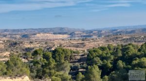 Gran propiedad de olivos en Caspe, cerca del gran embalse del río Ebro. en venta con riego por goteo