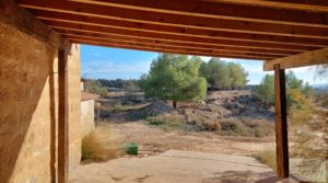 Detalle de Gran propiedad de olivos en Caspe, cerca del gran embalse del río Ebro. con electricidad