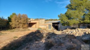 Vendemos Gran propiedad de olivos en Caspe, cerca del gran embalse del río Ebro. con electricidad