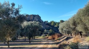 Foto de Gran propiedad de olivos en Caspe, cerca del gran embalse del río Ebro. con electricidad por 280.000€