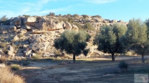 Foto de Gran propiedad de olivos en Caspe, cerca del gran embalse del río Ebro. con electricidad por 280.000€
