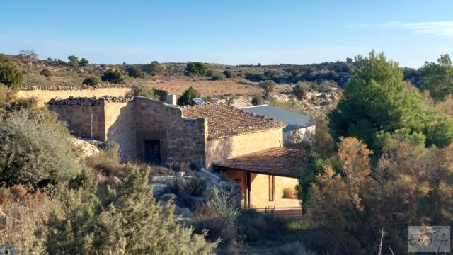Gran propiedad de olivos en Caspe, cerca del gran embalse del río Ebro.