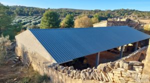 Se vende Gran propiedad de olivos en Caspe, cerca del gran embalse del río Ebro. con riego por goteo