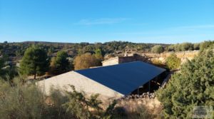 Detalle de Gran propiedad de olivos en Caspe, cerca del gran embalse del río Ebro. con electricidad