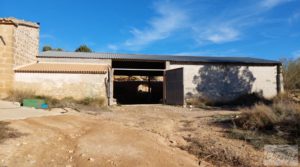 Vendemos Gran propiedad de olivos en Caspe, cerca del gran embalse del río Ebro. con buenos accesos