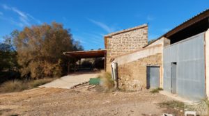 Foto de Gran propiedad de olivos en Caspe, cerca del gran embalse del río Ebro. con buenos accesos