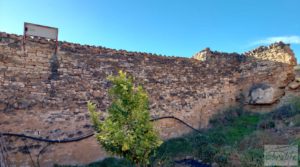 Foto de Gran propiedad de olivos en Caspe, cerca del gran embalse del río Ebro. en venta con electricidad