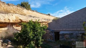 Foto de Gran propiedad de olivos en Caspe, cerca del gran embalse del río Ebro. con buenos accesos