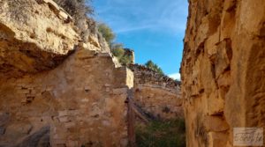 Gran propiedad de olivos en Caspe, cerca del gran embalse del río Ebro. en venta con riego por goteo