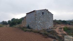 Se vende Finca de almendros jóvenes en plena producción cerca de Caspe. con electricidad