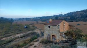 Se vende Finca de almendros jóvenes en plena producción cerca de Caspe. con goteo automatizado