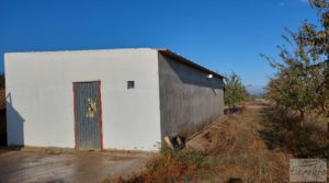 Vendemos Finca de almendros jóvenes en plena producción cerca de Caspe. con electricidad por 90.000€