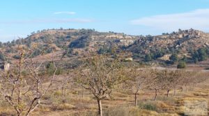 Finca de almendros jóvenes en plena producción cerca de Caspe. en venta con almacén por 90.000€