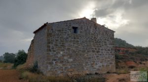 Vendemos Finca de almendros jóvenes en plena producción cerca de Caspe. con electricidad por 90.000€