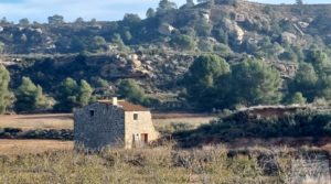 Foto de Finca de almendros jóvenes en plena producción cerca de Caspe. con almacén