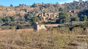 Vendemos Finca de almendros jóvenes en plena producción cerca de Caspe. con almacén por 90.000€